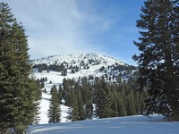 X2019-01-14 1041 The back side of our Mt. Ashland.jpg